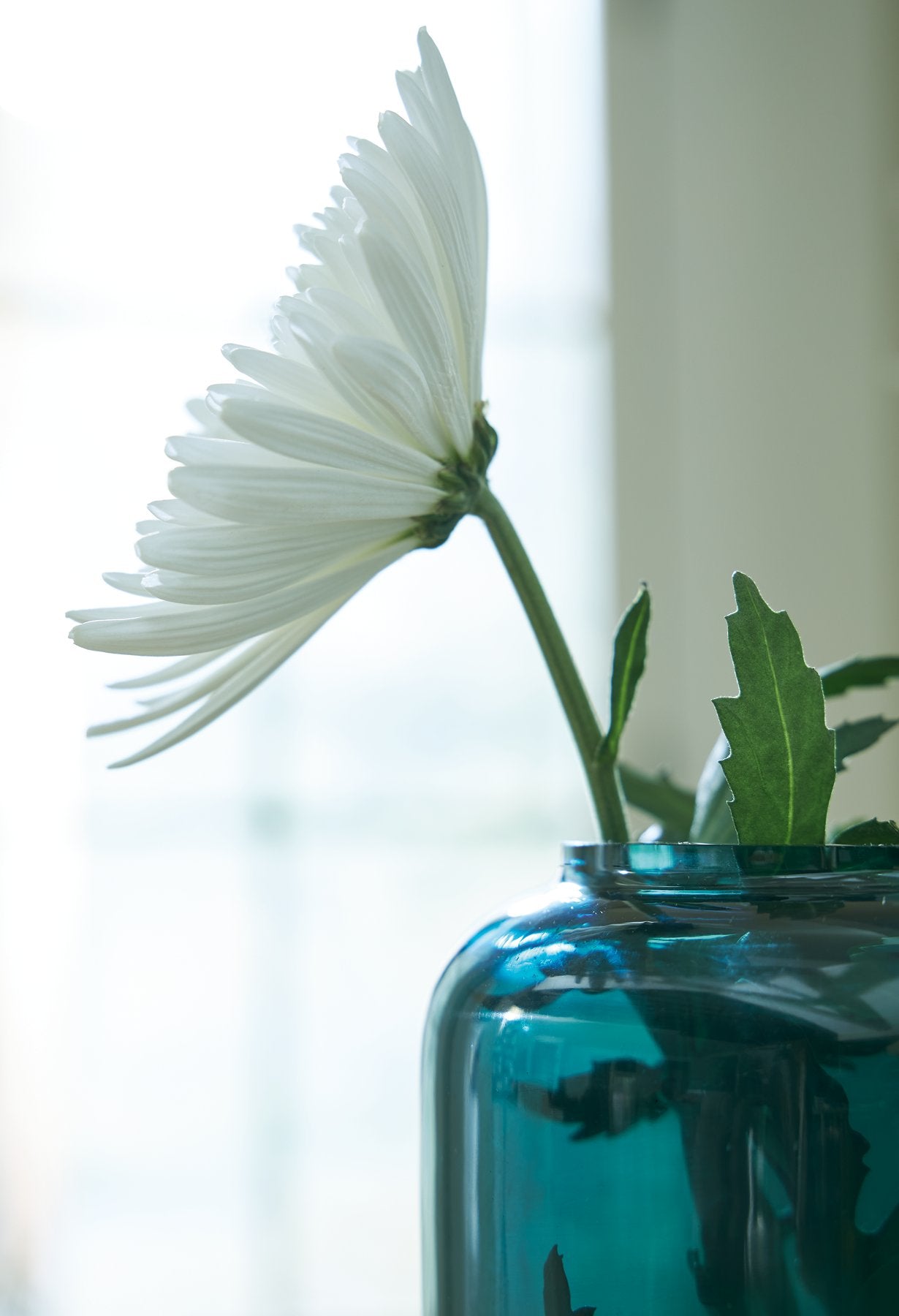 Inisland Vase - Romeo & Juliet Furniture (Warren,MI)