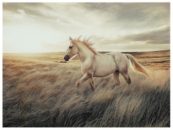 Errolville Wall Art - Romeo & Juliet Furniture (Warren,MI)