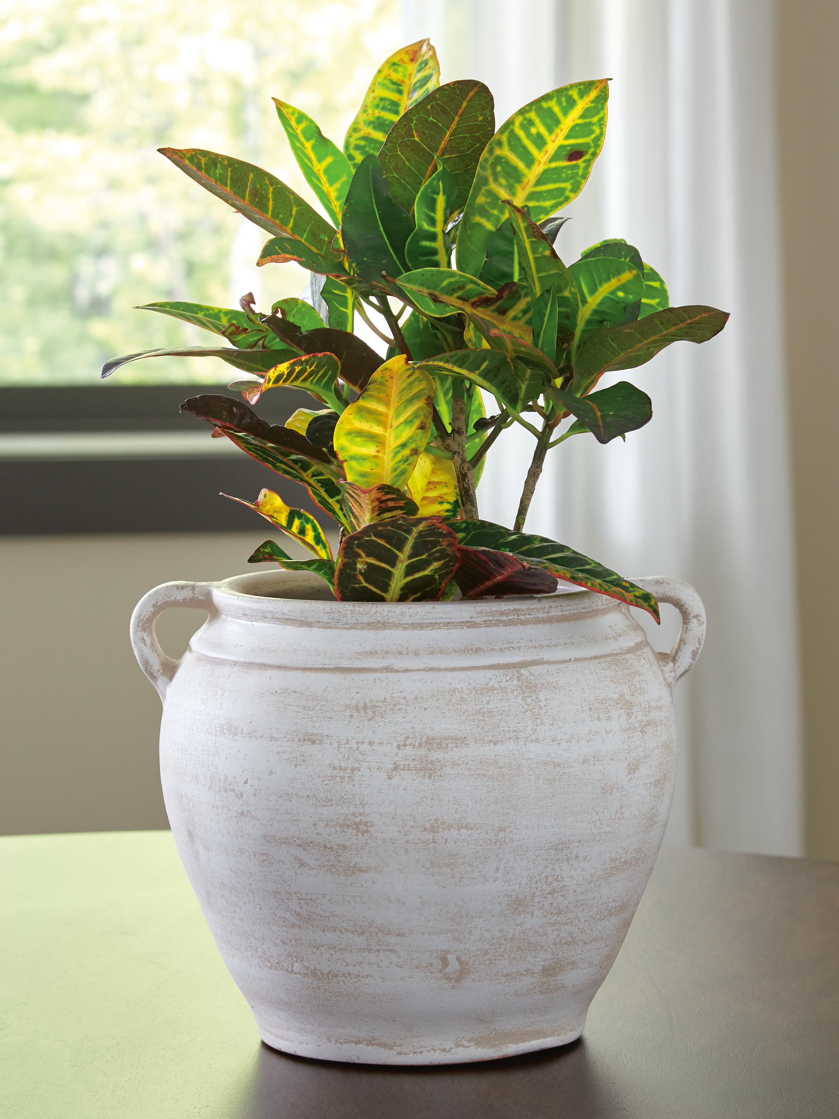 Meadie Vase - Romeo & Juliet Furniture (Warren,MI)