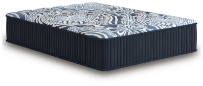 Firm Luxe 2.0 Mattress - Romeo & Juliet Furniture (Warren,MI)